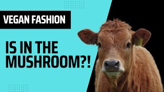 Mushroom Leather – The Future of Fashion