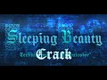 Sleeping Beauty Crack