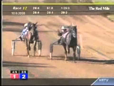 Kentucky Futurity Filly RaceOff 2006 -Passionate Glide