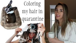 Coloring my hair at home during quarantine funny frenchie Daily Vlog
