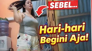 Download lagu single mom mp3 Download lagu single mom mp3