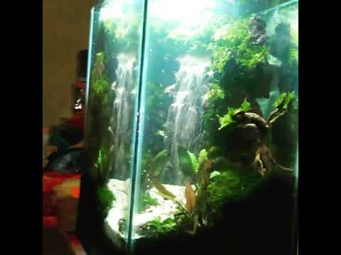 Aquascape waterfall