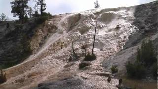 preview picture of video 'Mammoth Hot Springs - Yellowstone Nationalpark'