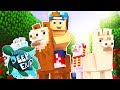 SO MANY LLAMAS!!! | Minecraft The Deep End SMP #12