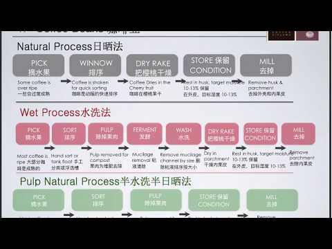 SCA Green Coffee Foundation - Part 3 - Sharing my old PowerPoint slides with content explanations.