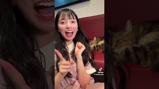 #かわいい猫  風花ちゃん?と猫ちゃん?のスキンシップの巻??