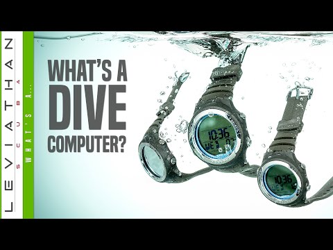 What's A Dive Computer
