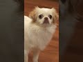 At Home with Donovan