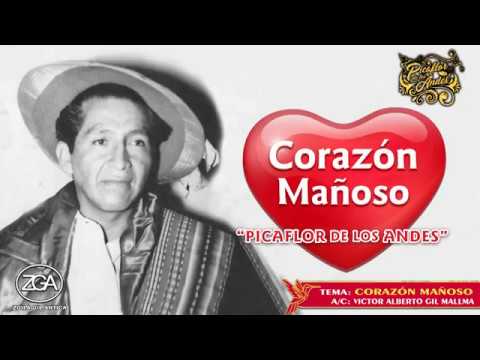 Picaflor de los Andes - CORAZÓN MAÑOSO  💞🎻🎷🎶