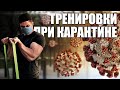 Закрыли Зал Из-за Коронавируса? Не Проблема! (Тренировки Для Поддержания Мышечной Массы Дома)