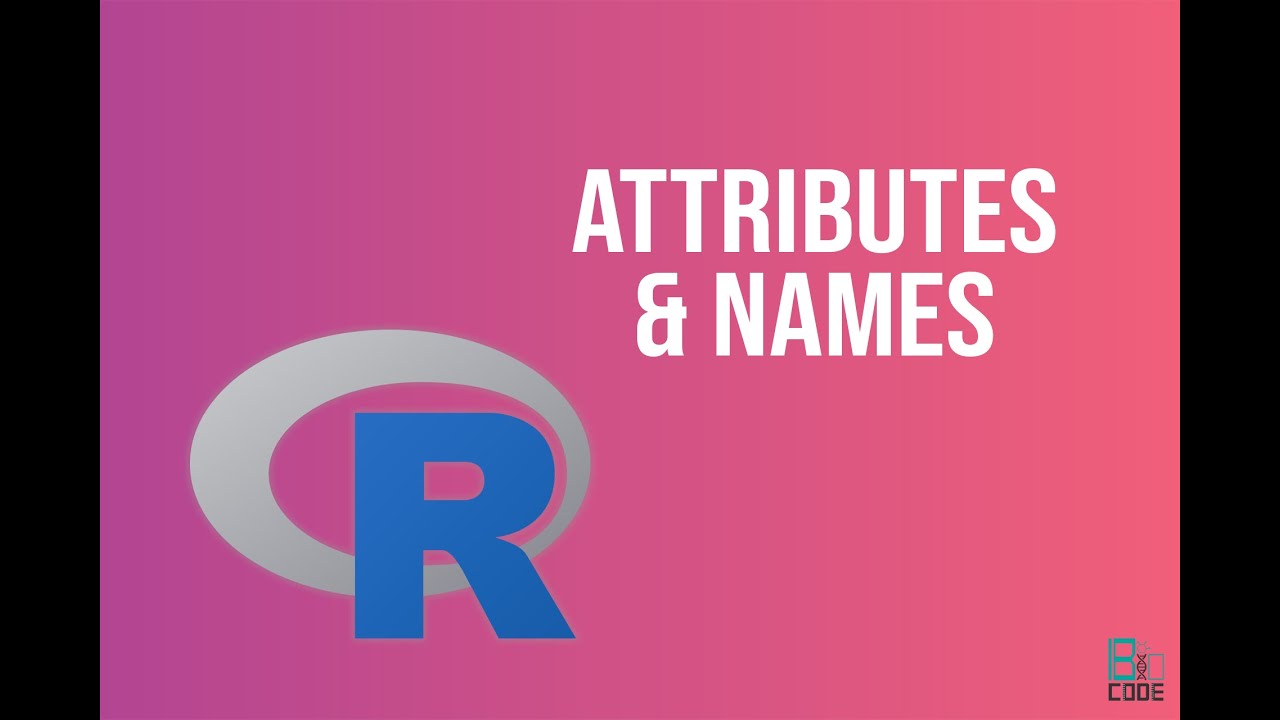 Bioinformatics: Attributes and Names | Python | BioCode Ltd