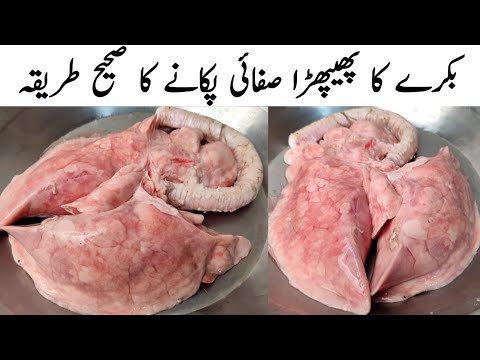 Mutton Phipra Saaf Karne Ka Tarika l  Phepra Pakane Aur Saaf Karne Ka Sahi Tarika