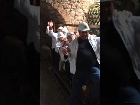 Capella Musica Hohn,  Bobfahrerlied,