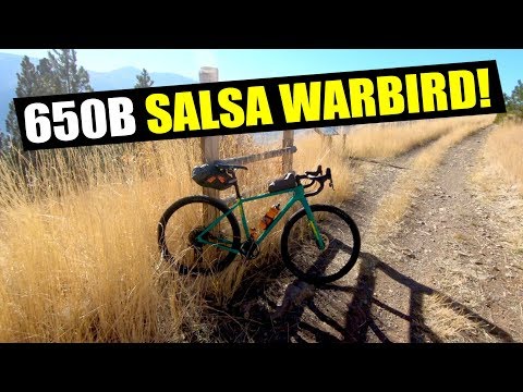 650B SALSA WARBIRD