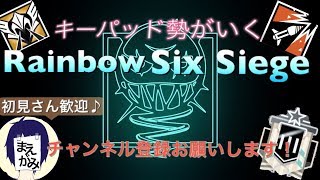 【R6S】【手元配信】＊概要欄見てね＊ねぎくんとランク潜るよ　【参加型】