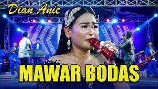Download lagu MAWAR BODAS - DIAN ANIC - ANICA NADA MALAM 22 OKTOBER 2022 MUARAGEMBONG BEKASI mp3 Download lagu MAWAR BODAS - DIAN ANIC - ANICA NADA MALAM 22 OKTOBER 2022 MUARAGEMBONG BEKASI mp3