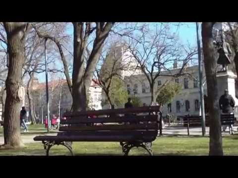 POŽAREVAC - 15.02.2014.godine.