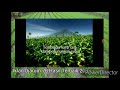 Iklan Djarum 76 Hasil Terbaik 2003 New Video