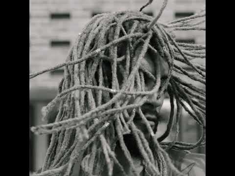 follw, subscribe, tap in