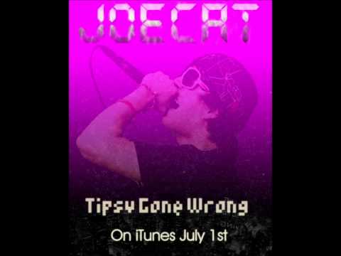 Tipsy Gone Wrong - JoeCat