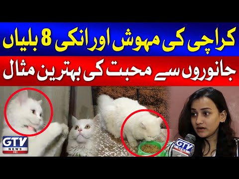 Meet Mehwish and Her 8 Cats | Animal Loving Girl of Karachi | GTV News