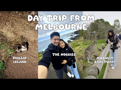 Melbourne Day Trip: Moonlit Sanctuary, Nobbies, Cowes, Phillip Island | 墨爾本近郊遊：月光野生動物保護區 諾比司角 菲利普島
