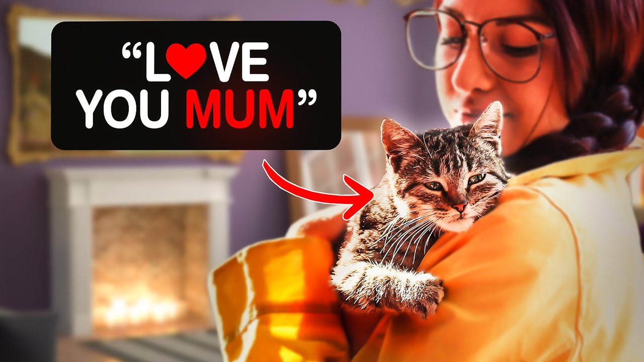 DO THIS TO BECOME YOUR CAT'S MOTHER FIGURE