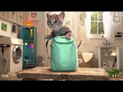 EL GATITO SE HA PERDIDO EN LA CIUDAD | LAS AVENTURAS DEL GATITO