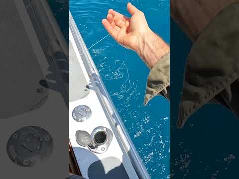 Catching My Dream Fish on Handline 🐟