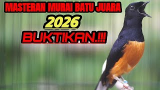 Download lagu MASTERAN MURAI BATU TEMBAKAN TERBAIK SEPANJANG HARI FULL ISIAN MEWAH mp3