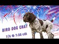 Did Fireworks Make My Dog Gun Shy? - Bird Dog Chat With Ethan And Kat