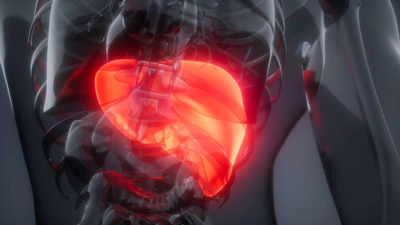 Dhjamosja e mëlçisë, gastrohepatologia: Ushqyerja jo e shëndetshme dhe alkooli ndër faktorët kryesorë