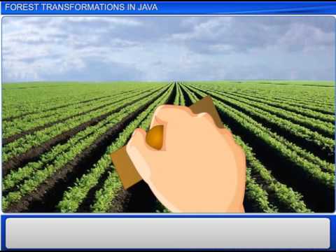 Forest Transformations In Java Video Lecture - Class 9