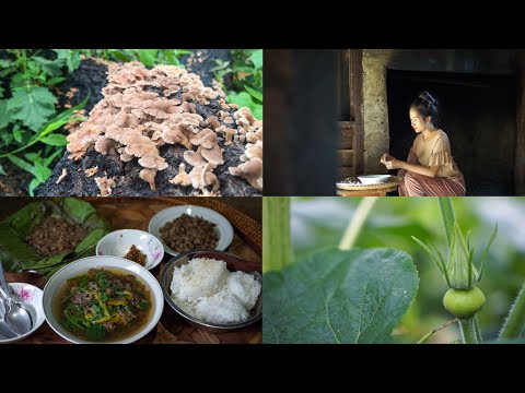 Forest mushroom soup with pumpkin leave - eat like HMONG | Nceb txhai xyaw ntsi taub | yaamaixi