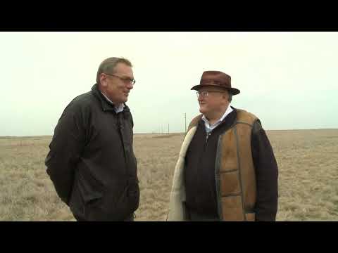 Naše dobro ep.68 16.11.19. Tov; razmena; b. luk; maline; kompost; z.salata; sir; Hereford; kozarstvo