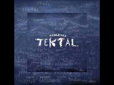 senzrex feat you makan g / yaakar