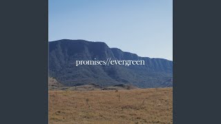Presets