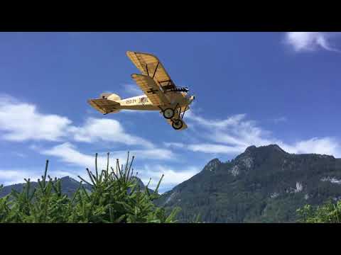 Albatros D3 (oeffag) low pass