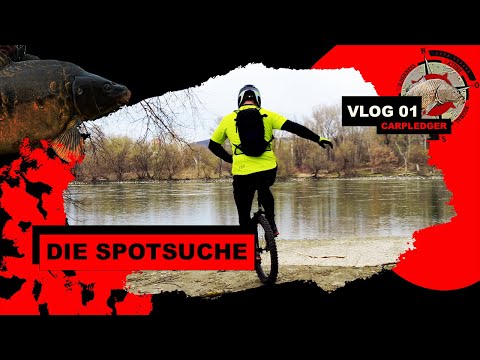Karpfenangeln am Fluss im Frühjahr mit Tipps und Tricks - CARPLEDGER VLOG 1 | municycle,spots (2023)