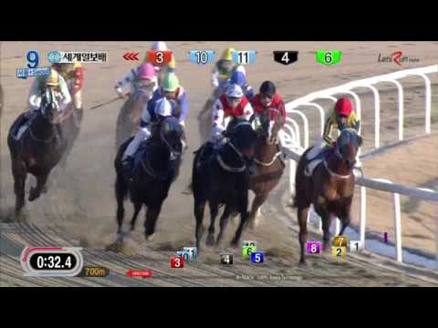 Segye Ilbo Cup 2017 - Always Winner