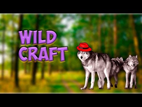 Как получить кристаллы (бонус) Как залесть на гору возле босса -Wild Craft