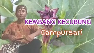 Download lagu Kembang Kecubung Langgam Campursari || cover Mr. Yantho mp3