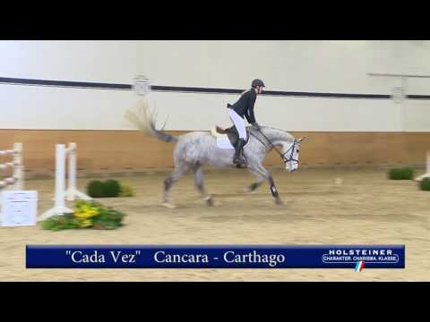 102. Cada Vez v. Cancara - Carthago