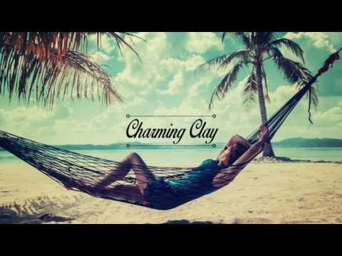 Ming (GER) - Charger (FABS# Remix) | Charming Clay