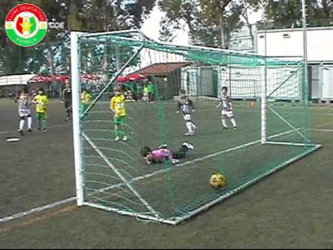 CD ESTRELA  Benjamins - Estrela-Abrunheira - 12-01...