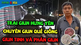 Trại Giun Quế Đỗ Văn Khanh ở Hưng Yên