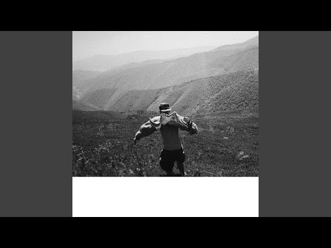 Сонний птах