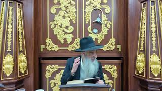 הרב מאיר דוד שמואלי - ביאור מגילת אסתר פרק ה - ז