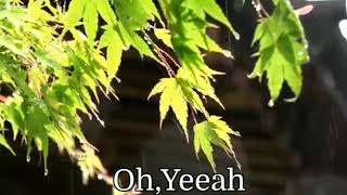 I&#39;ll Never Stop Loving You / Britney Spears/lyrics