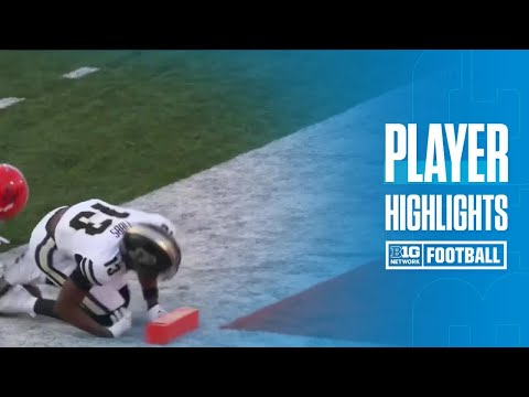 Ryan Browne Highlights vs. Illinois | Purdue Football | 10/12/2024